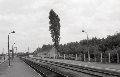 Eisden-Mijn -MZ19192.jpg